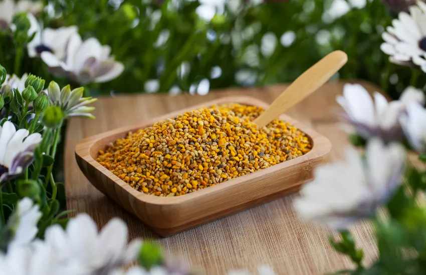 Bee Pollen - What Is Pollen, Uses, Medicinal Properties