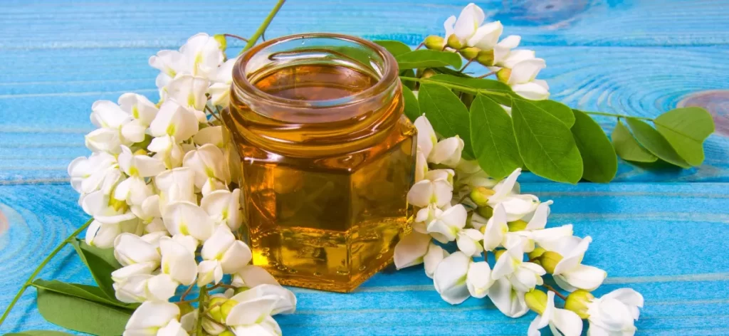 Acacia Honey Delicious, Nutrition, Benefits And Uses