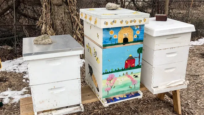 March – Bee Life And Beekeeping Tasks