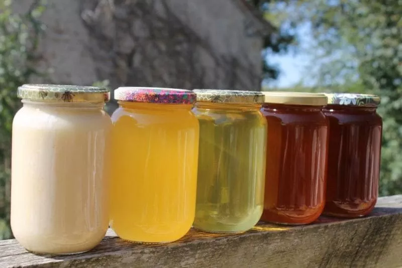 Light-Honey-vs-Dark-Honey-Differences-Uses-Appearance-Taste