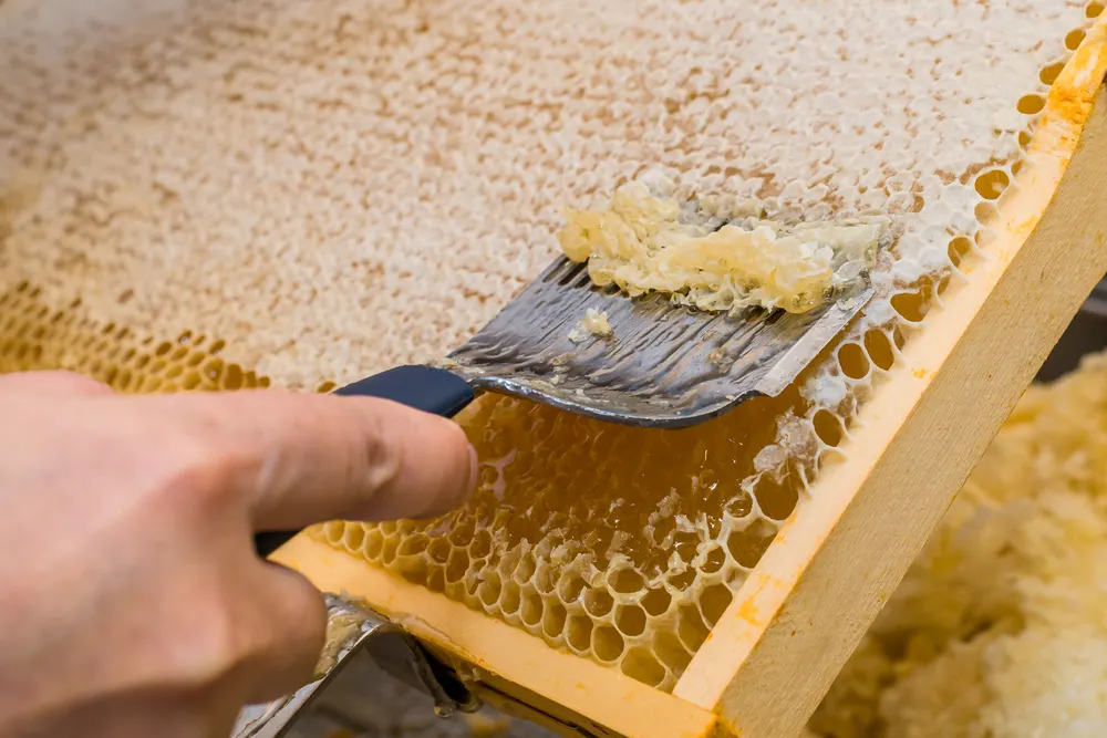 How To Clear Cloudy Honey After Extraction?