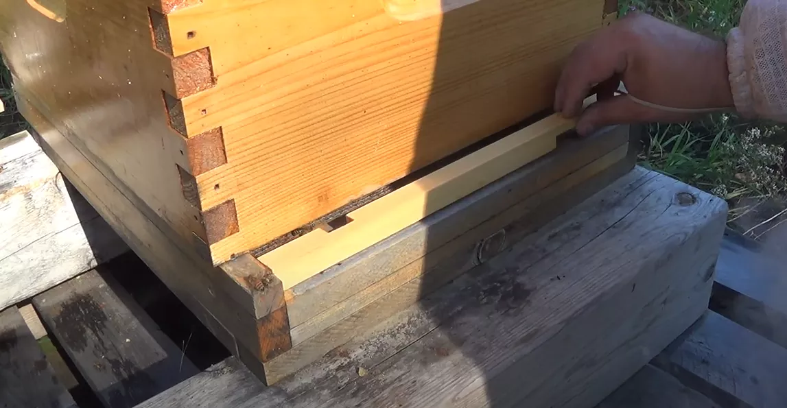 How To Use A Beehive Entry Reducer And Do We Need It?