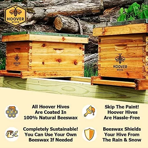 Natural Beeswax Coated Beehive Review