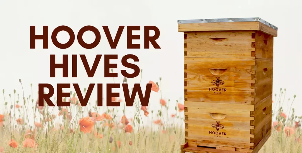 hoover-hives-review