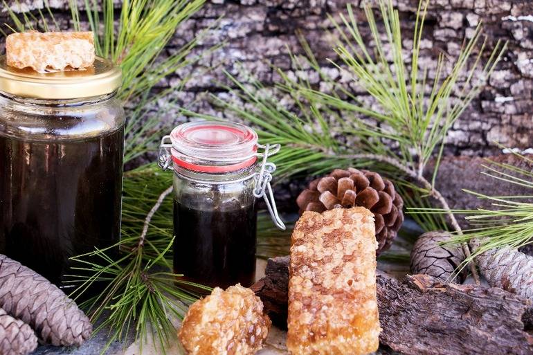 Forest Honey: Benefits, Properties, Taste, How It’s Produced?