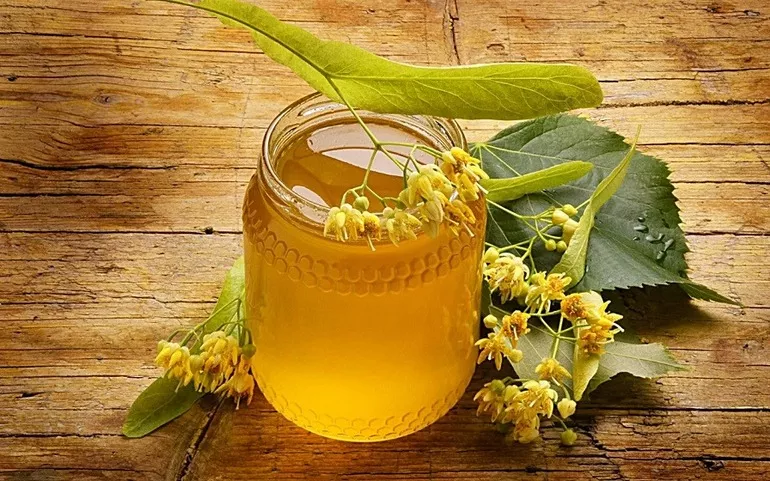 Linden Honey or Lime honey: Benefits, Properties, How It’s Produced