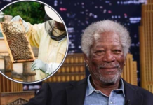 Did you know that Morgan Freeman is a beekeeper? The reason might surprise you Morgan Freeman Is A Beekeeper.a
