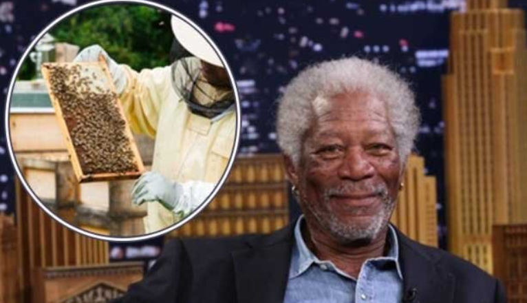 Morgan Freeman Is A Beekeeper.a